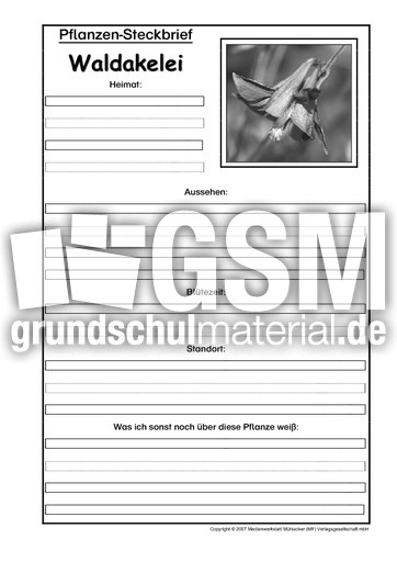 Pflanzensteckbrief-Waldakelei-SW.pdf